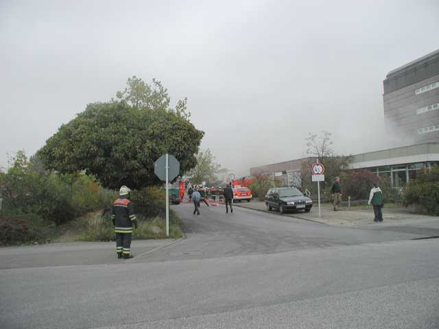 Feuerwehreinsatz Ausschläger Elbdeich (2)