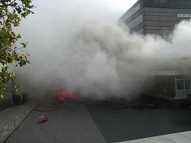 Feuerwehreinsatz Ausschläger Elbdeich (17)